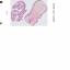 Assises25_Cas3 5c_Digestif_NW_Lesion 5.3