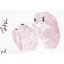 Assises25_Cas4.1_Thorax_CB
